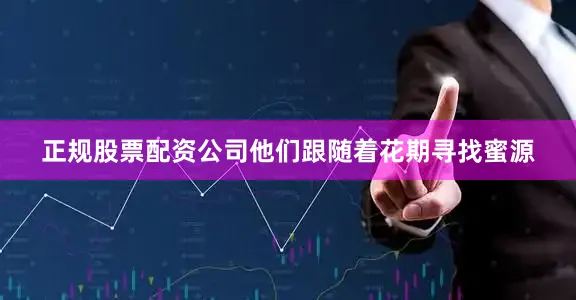正规股票配资公司他们跟随着花期寻找蜜源